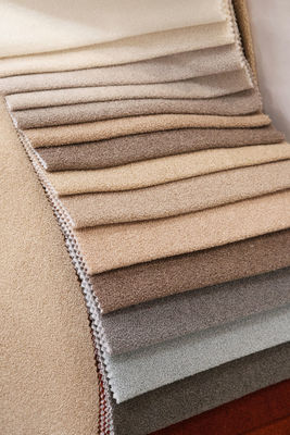 Teddy Fleece Sofa Fabric - 100% Polyester Medium Weight Upholstery Fabric ISO9001 Certified